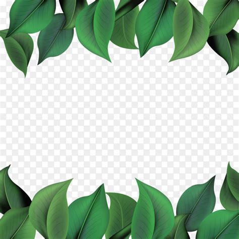Natural Background With Green Leaves Vector Png Similar Png