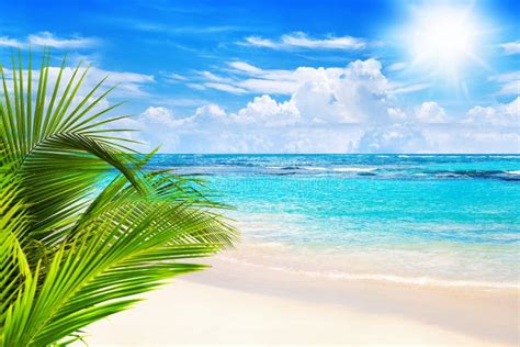 Tropical Island Landscape Exotic Sand Beach Turquoise Sea Water Ocean