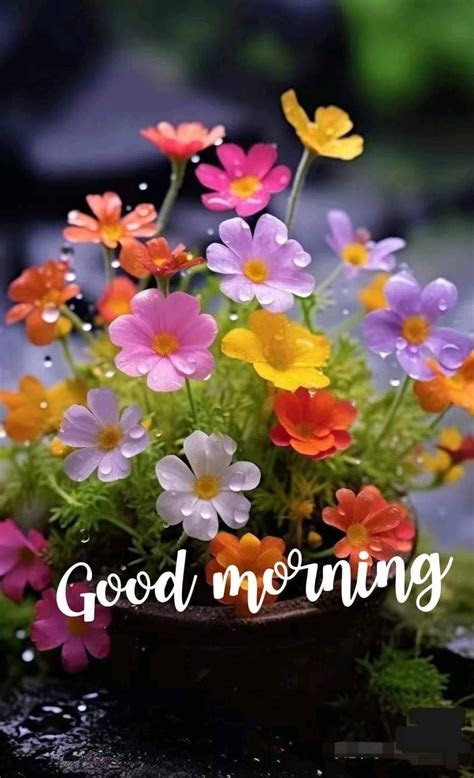 Pin By Uni Nita On Cards Good Morning Flowers Rose Good Morning Flowers Gif Good Morning