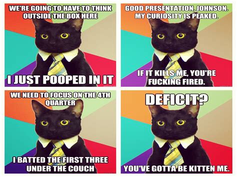Cat Meme Quote Funny Humor Grumpy 38 Wallpapers Hd