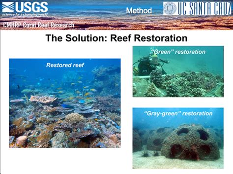 Jun Considering Coral Reefs As Natural National Infrastructure