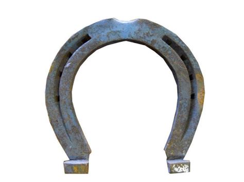 Hsclydesdale Clydesdale Horseshoe Large Cast Iron Wmini Shoe Draft