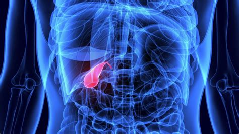 Recognizing Symptoms Of A Gallbladder Attack Florida Medical Clinic