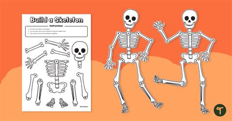 Build A Skeleton Template Teach Starter