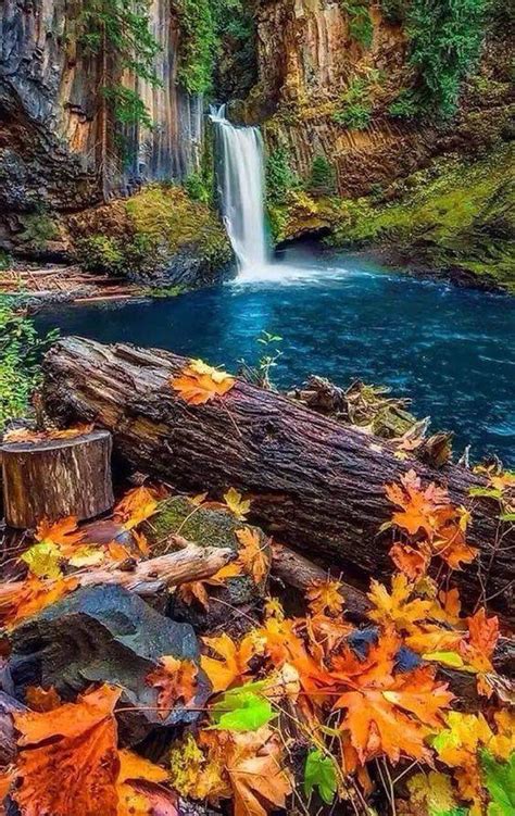 Waterfall In The Woods Landscape Photography Nature Autumn Scenery