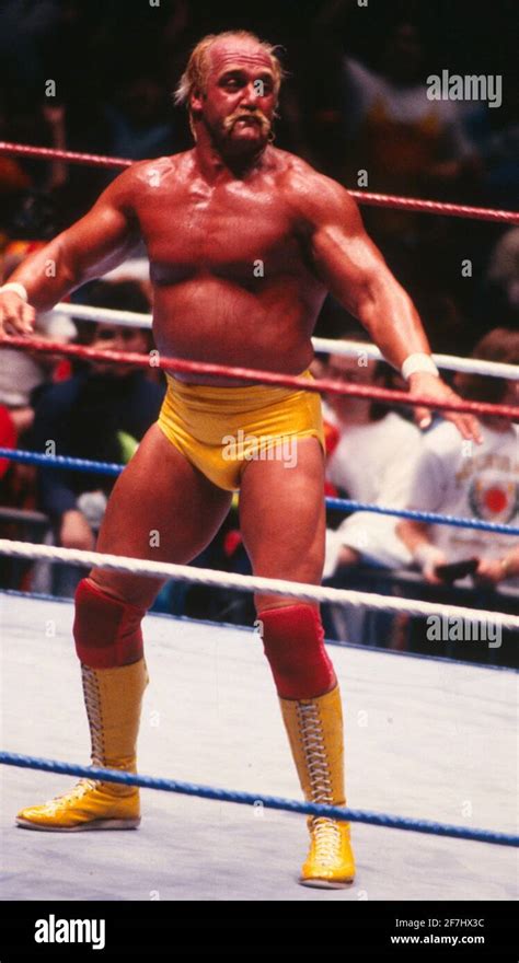 Hulk Hogan 1988 Photo By John Barrett PHOTOlink Stock Photo Alamy