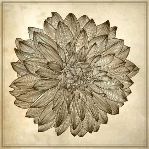You can download free flower vector in.ai and.eps format. Stock Vector | Dahlia flower, Dahlia tattoo, Ink