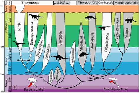 Image Evolution Of Dinosaurs En