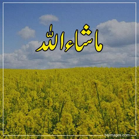 20 Beautiful Masha Allah Images In Urdu 2021 Bqimages