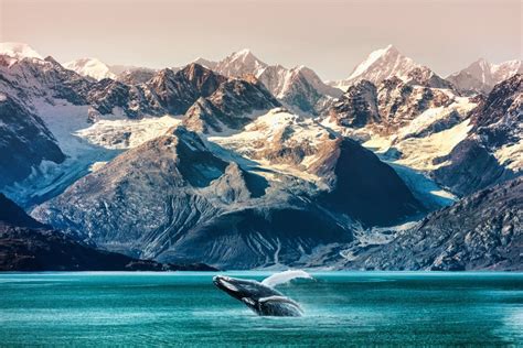 15 Of The Most Beautiful Places In Alaska Celebrity Cruises