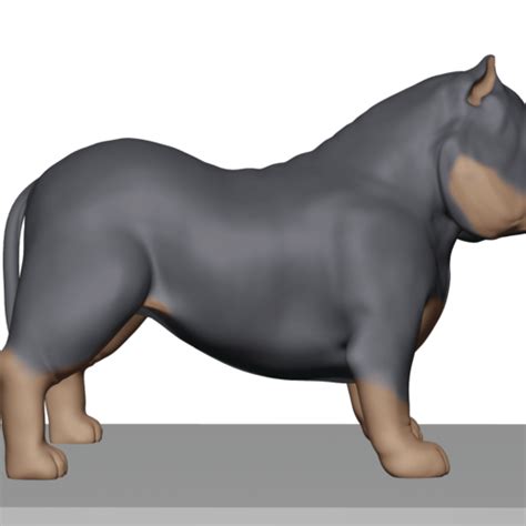 download stl file american bully 3d printer object ・ cults