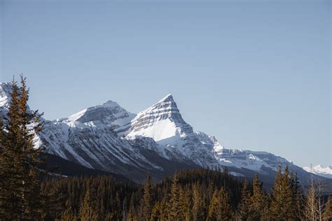 Photo Of A Mount Chephren And White Pyramid Banff National Park