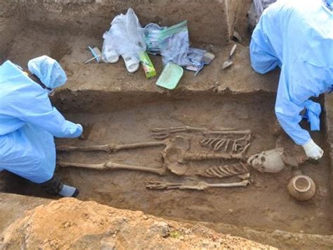 Dig This 5000 Yr Old Skeletons Found In Hisar Hindustan Times