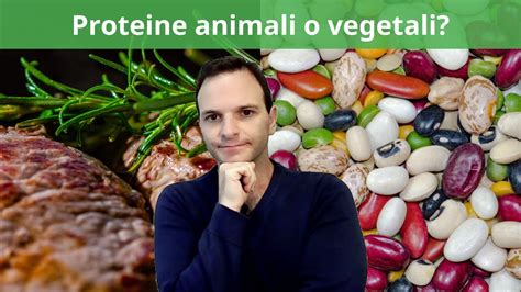 La Differenza Tra Proteine Animali E Vegetali Youtube