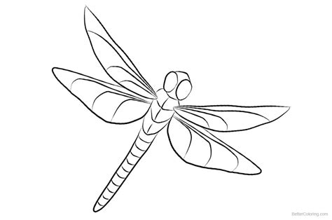 What color are dragon fly eyes? Dragonfly Coloring Pages Clipart - Free Printable Coloring ...