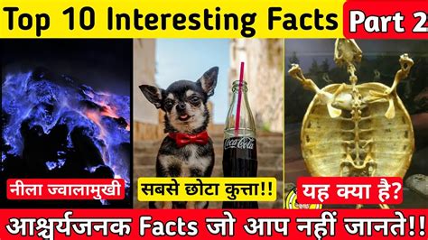 Top 10 Interesting Facts Part 2 Amazing Facts Interesting Facts