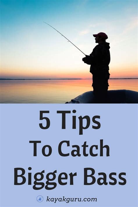 Catch Bigger Bass Our How To Tips Guide To Reeling In Larger Bass