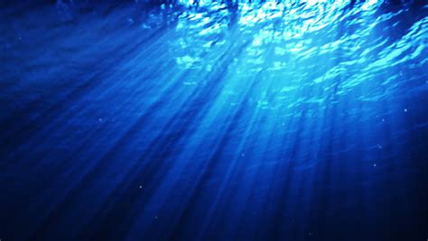 Underwater Scene With Light Rays Loopable Shutterstock