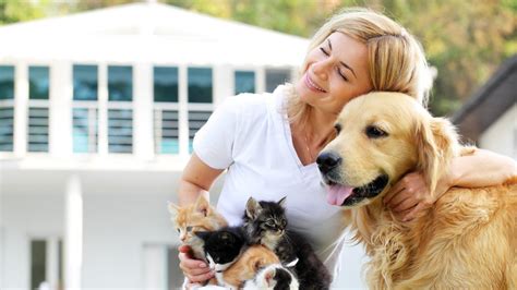 Brands And Solutions For Protecting Companion Animal Health Elanco