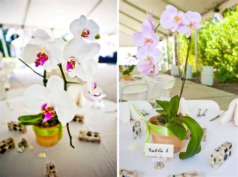 Simple And Inexpensive Orchid Wedding Centerpieces A Wedding Blog