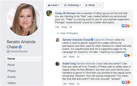 Sen Amanda Chase Far Right Candidate For Virginia Governor In 2021