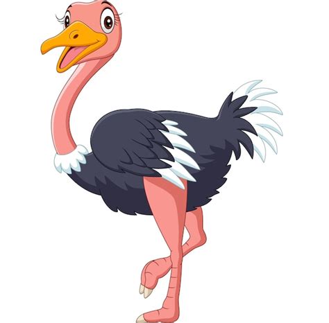 Cute Ostrich Cartoon On White Background Vector Premium Download