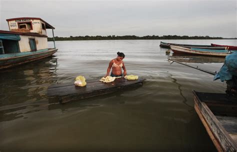 Activists Protest Dam Project In Amazon Basin Of Brazil