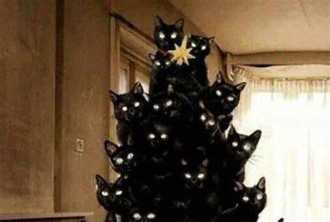 Your Creepy Black Cat Christmas Tree Has Arrived Cat Christmas Tree