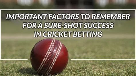 Important Factors To Remember For A Sure Shot Success In Cricket