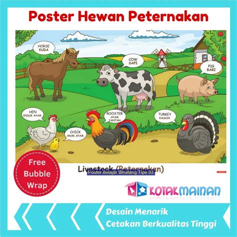 Jual Poster Hewan Peternakan Shopee Indonesia