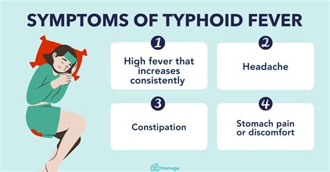 Typhoid Symptoms Causes Treatments Prevention Health Mastery Tips