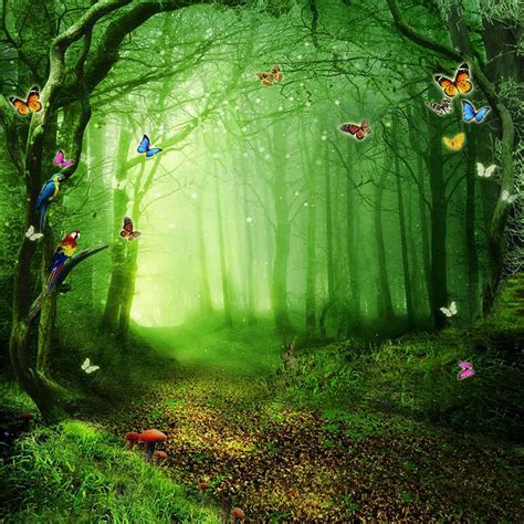 Fairy Tale Alice Wonderland Forest Butterfly Backdrop Photography