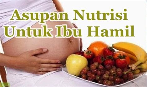 Asupan Nutrisi Untuk Ibu Hamil Dr Oz Indonesia
