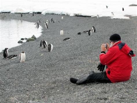 Scientists Warn Of Tourism Threat To Antarctica