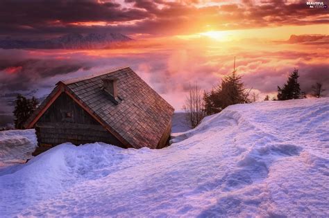 Dawn Sunrise Clouds Snow Trees Viewes Wooden Cottage Mountains