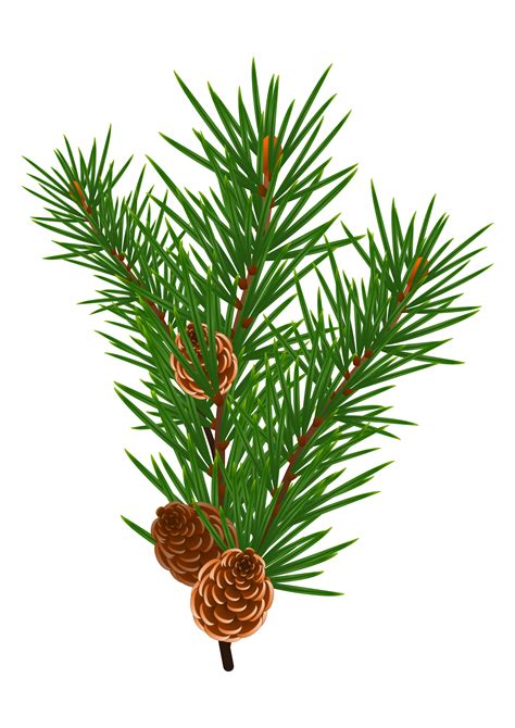Pinecone clipart snowy, Pinecone snowy Transparent FREE ...