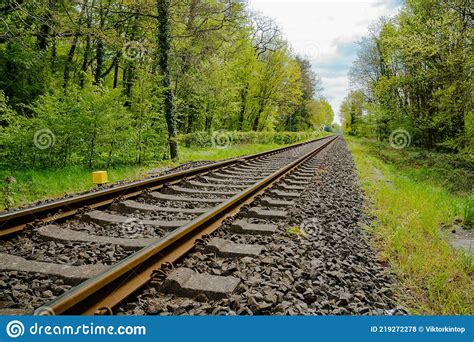 Rusty Rails Go Into The Distance In The Forest Stock Photo Image Of