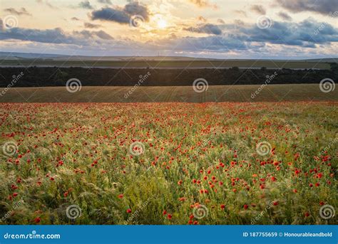 Epic Landscape Image Of Poppy Field In English Countryside During