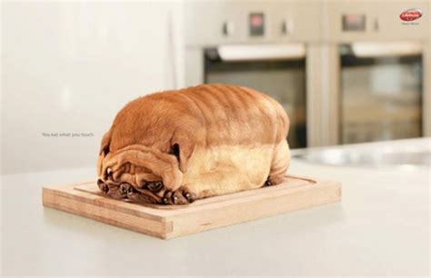 20 Hilarious Print Ads Of Animals To Make You Laugh