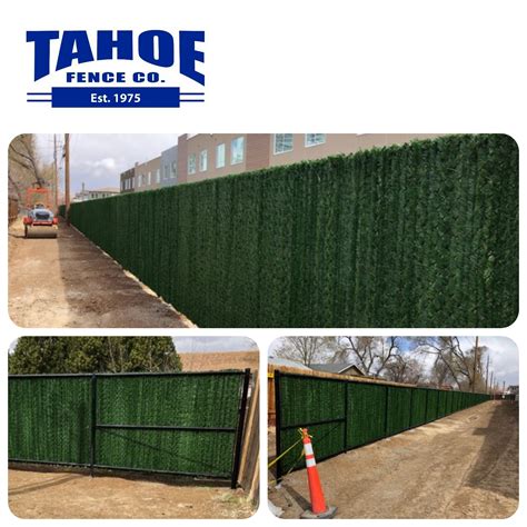 Hedge Slats In Black Chain Link Fencing Tahoe Fence