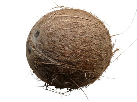 Whole Milked Coconut Png Image Purepng Free Transparent Cc0 Png