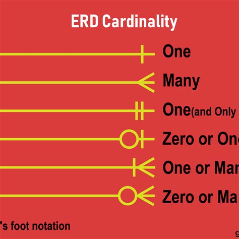 Erd Cardinality
