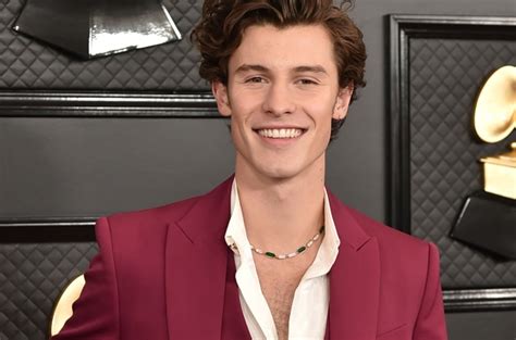 Shawn Mendes Cancels Tour Dates To Heal From Ongoing Mental Health