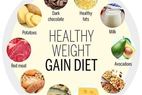 Give You Best Weight Gaining Meal Plan By Aqsa Khan Fiverr