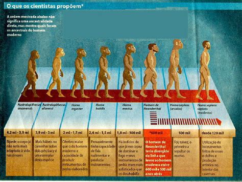 A Linhagem Evolutiva Humana