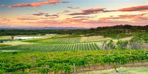 Check spelling or type a new query. Hunter Valley Wine Tasting Day Trip from Sydney | Greyhound Australia