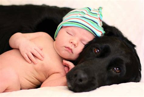 22 Big Dogs Caring For Little Kids Jugaadu Blog