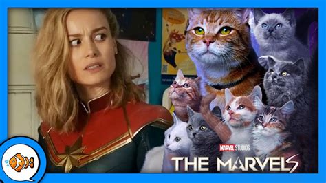 The Marvels Is For Cat Ladies And Wine Aunts Youtube