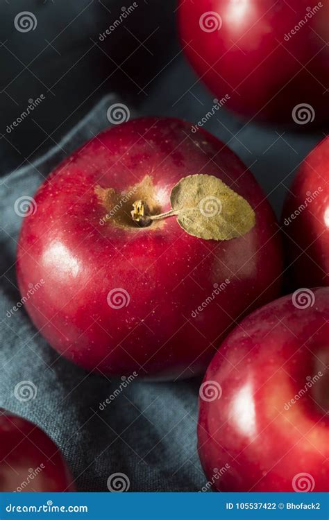 Red Organic Macintosh Apples Stock Photo Image Of Nutrients Dieting