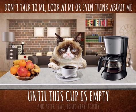 Best To Wait Until Grumpy Has Had Her Morning Coffee ☕️☕️☕️ Coffee Meme